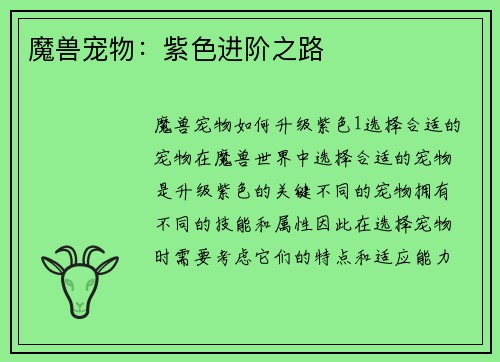 魔兽宠物：紫色进阶之路